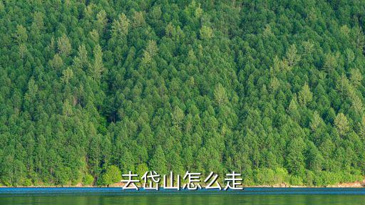 去岱山怎么走