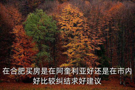 在合肥買房是在阿奎利亞好還是在市內好比較糾結求好建議