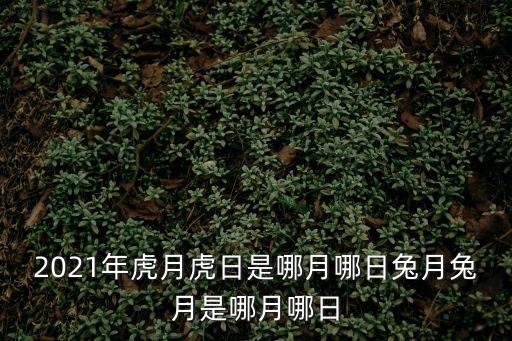 2021年虎月虎日是哪月哪日兔月兔月是哪月哪日