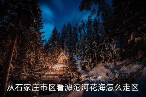 從石家莊市區(qū)看滹沱河花海怎么走區(qū)