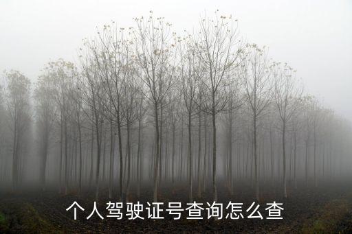 個人駕駛證號查詢怎么查