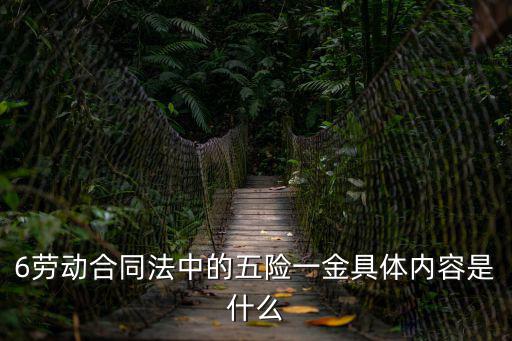6勞動(dòng)合同法中的五險(xiǎn)一金具體內(nèi)容是什么