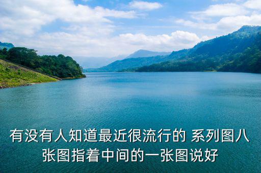 有沒有人知道最近很流行的 系列圖八張圖指著中間的一張圖說好