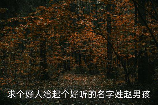 求個好人給起個好聽的名字姓趙男孩