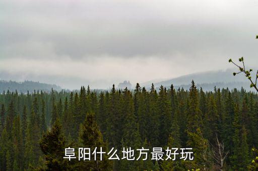 阜陽什么地方最好玩