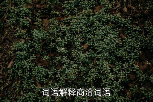 詞語解釋商洽詞語