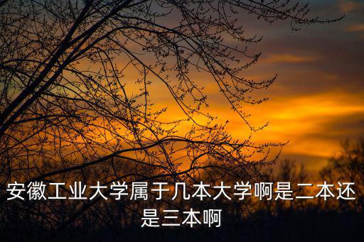 安徽工業大學屬于幾本大學啊是二本還是三本啊