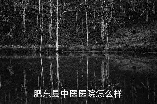 肥東縣中醫(yī)醫(yī)院怎么樣