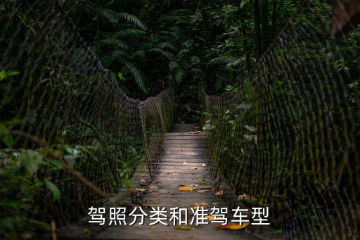 駕照分類和準駕車型