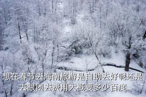 想在春節去海南旅游是自助去好呢還是去跟團去費用大概要多少百度