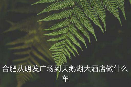 合肥從明發廣場到天鵝湖大酒店做什么車