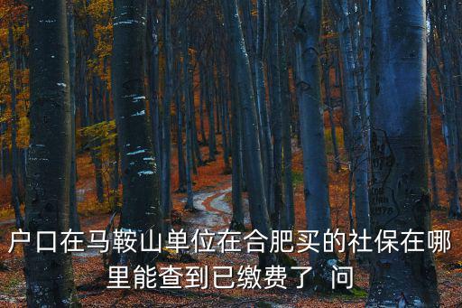 戶口在馬鞍山單位在合肥買的社保在哪里能查到已繳費(fèi)了  問