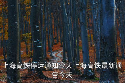 上海高鐵停運通知今天上海高鐵最新通告今天