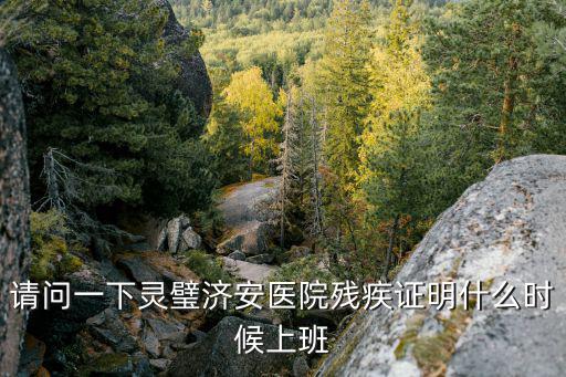 請問一下靈璧濟安醫院殘疾證明什么時候上班