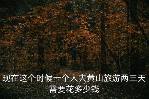現(xiàn)在這個(gè)時(shí)候一個(gè)人去黃山旅游兩三天需要花多少錢