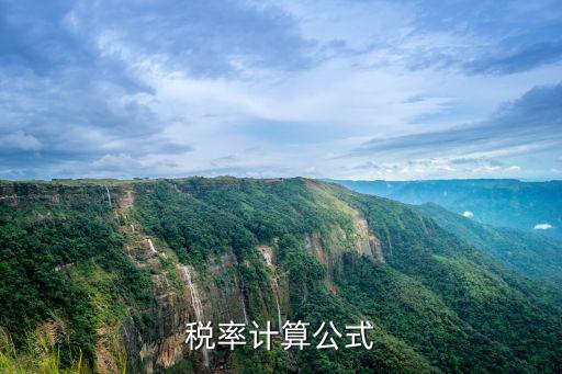 稅率計算公式，發(fā)票單額是1000元1的稅率怎么算