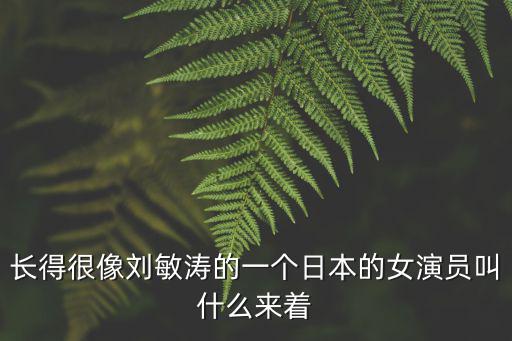 長得很像劉敏濤的一個日本的女演員叫什么來著