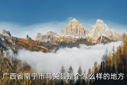 廣西省南寧市馬關縣是個怎么樣的地方