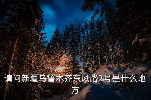 請問新疆烏魯木齊東風路2號是什么地方