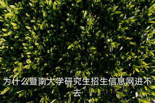為什么暨南大學研究生招生信息網進不去