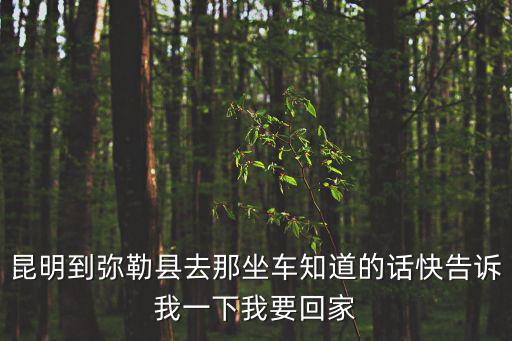 昆明到彌勒縣去那坐車知道的話快告訴我一下我要回家
