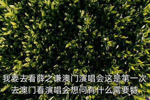 我要去看薛之謙澳門演唱會這是第一次去澳門看演唱會想問有什么需要特