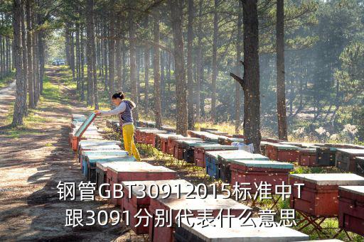 鋼管GBT30912015標(biāo)準(zhǔn)中T跟3091分別代表什么意思