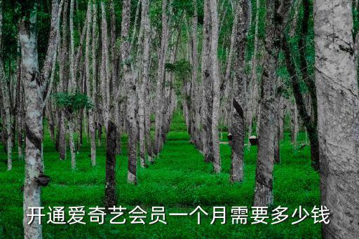 開通愛奇藝會員一個月需要多少錢