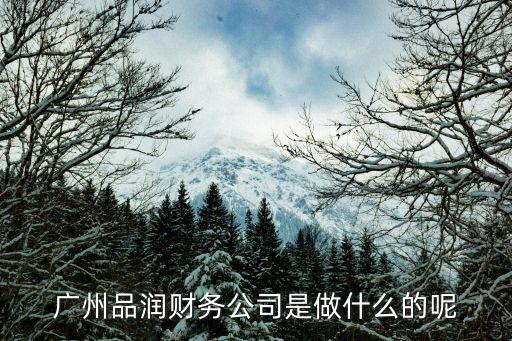 廣州品潤財務(wù)公司是做什么的呢