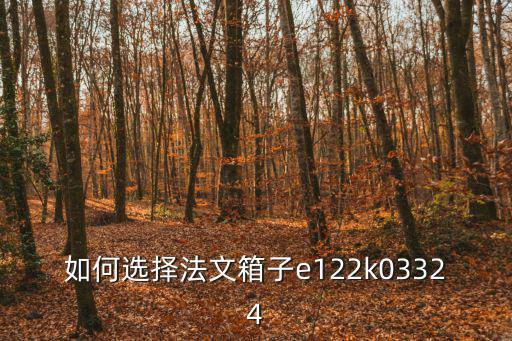 如何選擇法文箱子e122k03324
