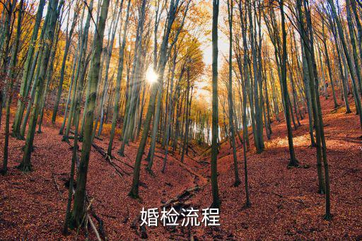 婚檢流程
