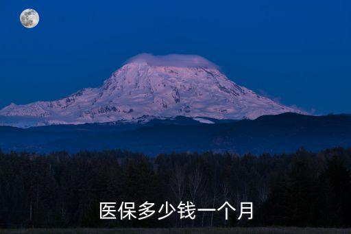 醫保多少錢一個月