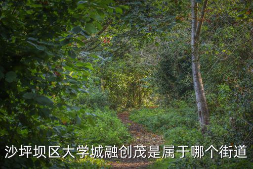 合肥融創(chuàng)茂，沙坪壩區(qū)大學城融創(chuàng)茂是屬于哪個街道