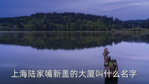 上海陸家嘴新蓋的大廈叫什么名字