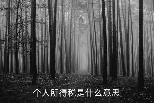 個人所得稅是什么意思