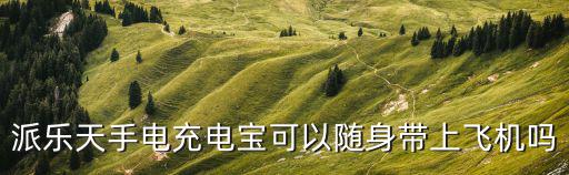派樂天手電充電寶可以隨身帶上飛機嗎