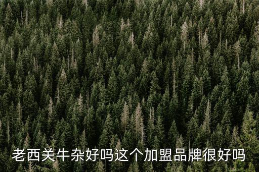 老西關牛雜好嗎這個加盟品牌很好嗎