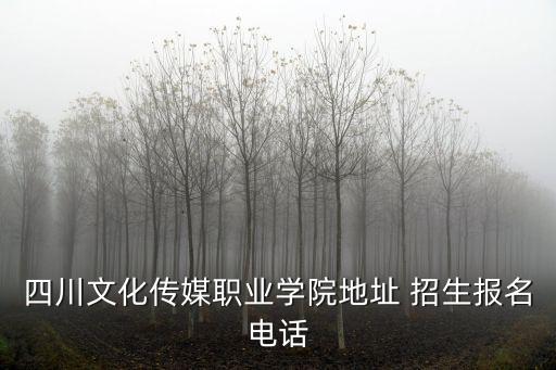 報名電話，中國好聲音怎么報名