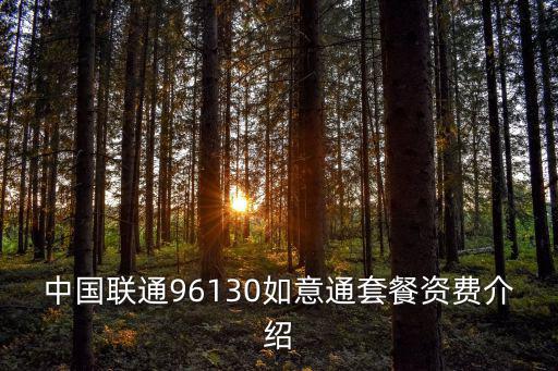 中國聯(lián)通96130如意通套餐資費(fèi)介紹