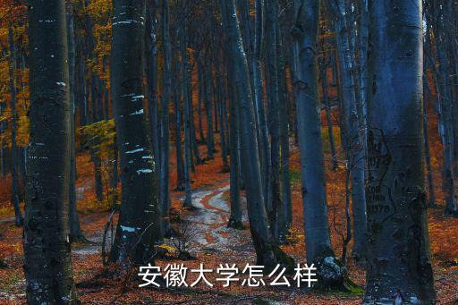 安徽大學(xué)怎么樣