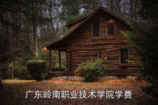 廣東嶺南職業技術學院學費