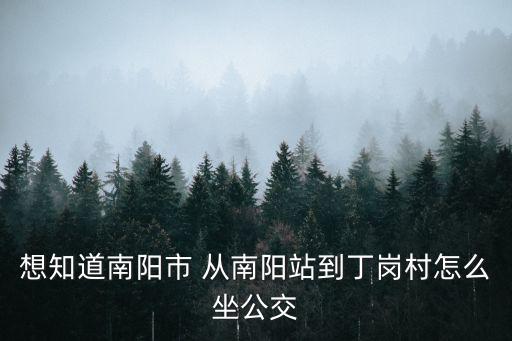 想知道南陽市 從南陽站到丁崗村怎么坐公交