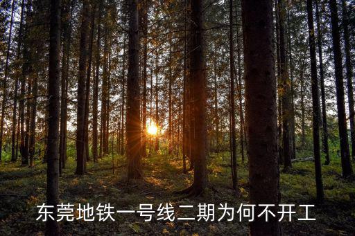 東莞地鐵一號線二期為何不開工