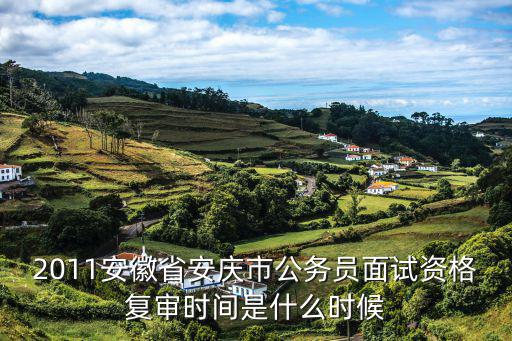 安慶市先鋒網，安徽先鋒網的介紹