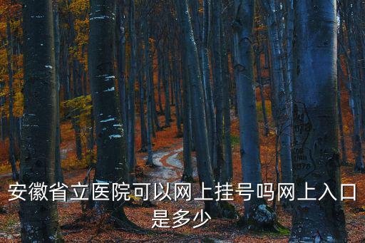 安徽省立醫院可以網上掛號嗎網上入口是多少