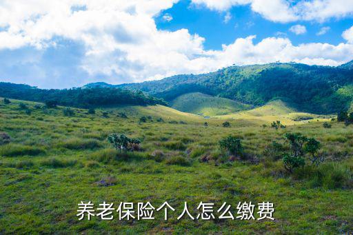 養(yǎng)老保險個人怎么繳費