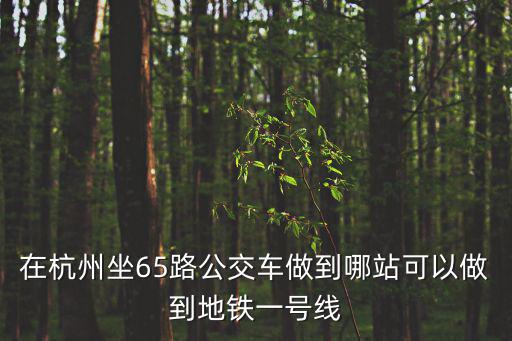在杭州坐65路公交車做到哪站可以做到地鐵一號線