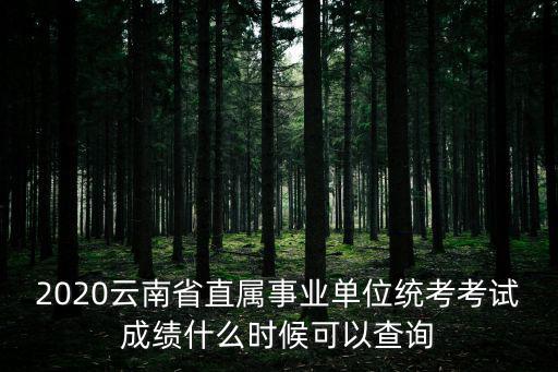 2020云南省直屬事業單位統考考試成績什么時候可以查詢