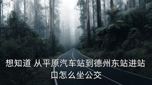 平原東站，大佬們我學生證上填的青島站至平原站可以買平原東站到青島站的