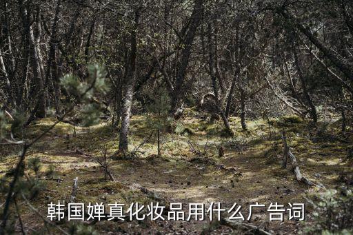 韓國嬋真化妝品用什么廣告詞